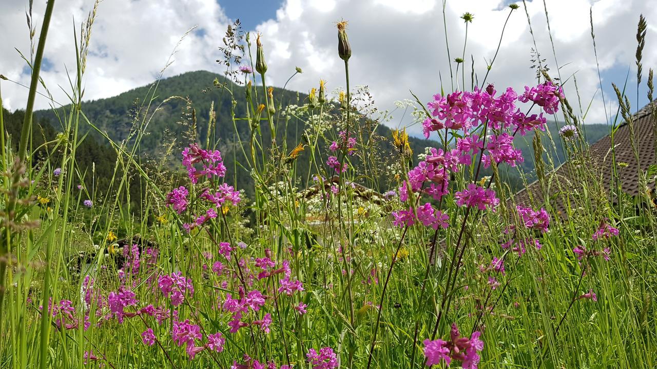 Gasthof Fair Mörtschach Exteriér fotografie